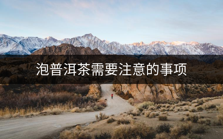 泡普洱茶需要注意的事項 泡普洱茶需要注意的事項