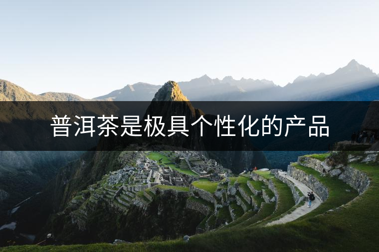 普洱茶是極具個(gè)性化的產(chǎn)品 普洱茶是極具個(gè)性化的產(chǎn)品