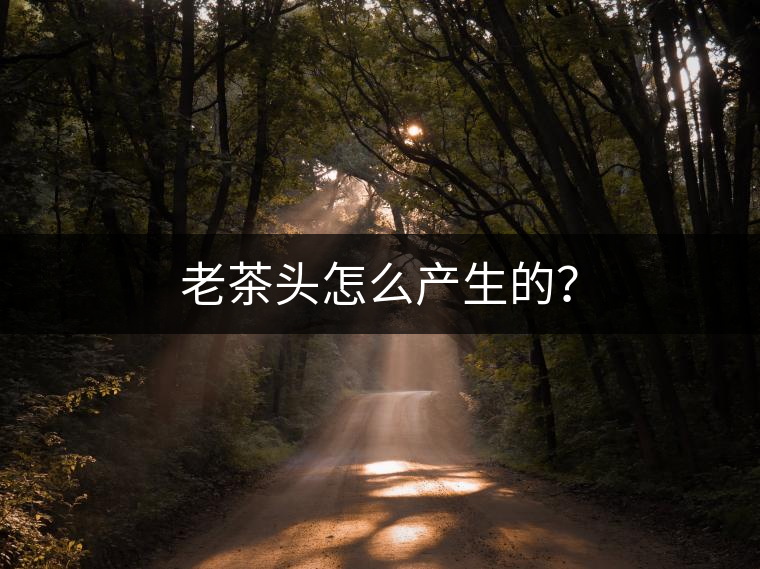 老茶頭怎么產(chǎn)生的？