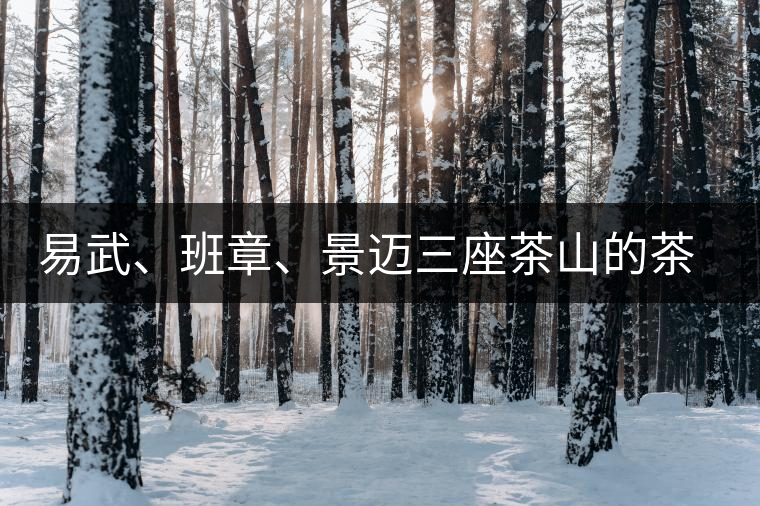 易武、班章、景邁三座茶山的茶比較