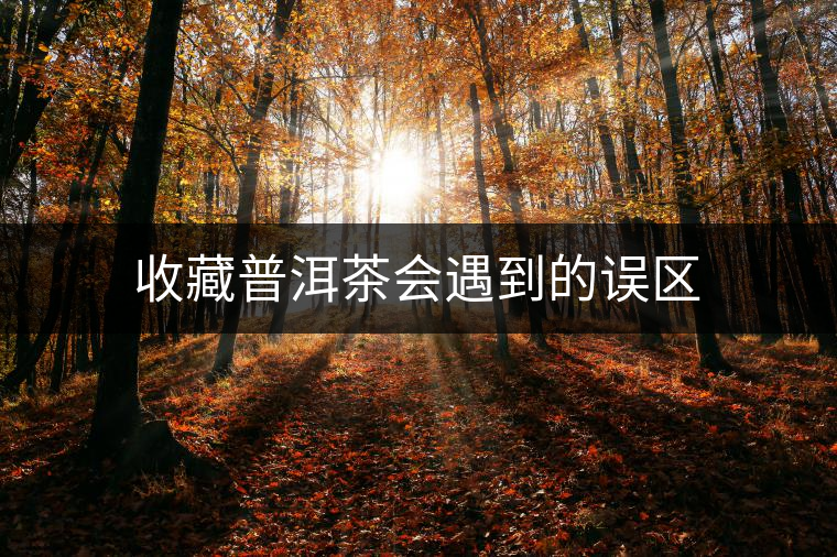 收藏普洱茶會(huì)遇到的誤區(qū) 收藏普洱茶會(huì)遇到的誤區(qū)