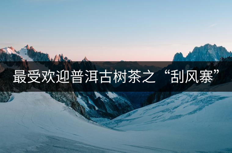 最受歡迎普洱古樹茶之“刮風(fēng)寨”