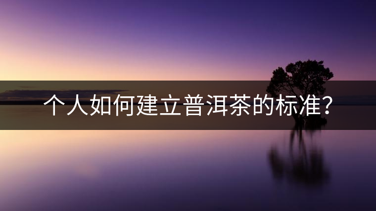 個人如何建立普洱茶的標(biāo)準(zhǔn)？