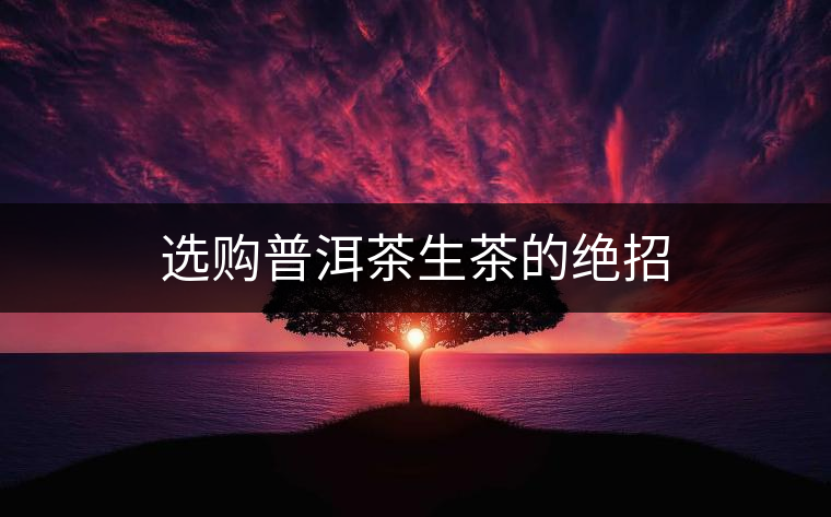 選購(gòu)普洱茶生茶的絕招 選購(gòu)普洱茶生茶的絕招