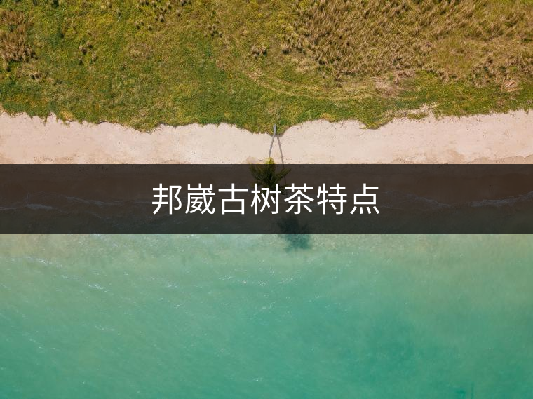 邦崴古樹(shù)茶特點(diǎn)