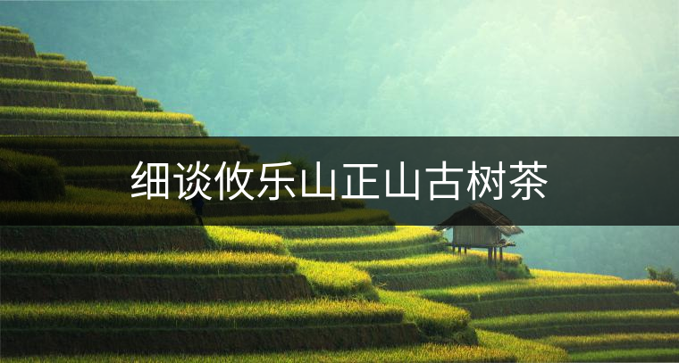 細(xì)談攸樂山正山古樹茶 細(xì)談攸樂山正山古樹茶