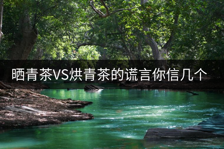 曬青茶VS烘青茶的謊言你信幾個(gè)？