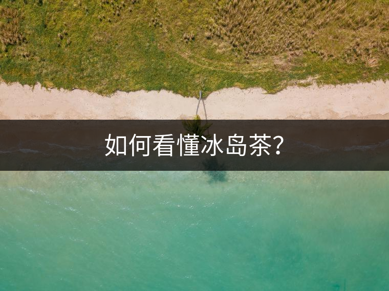 如何看懂冰島茶？