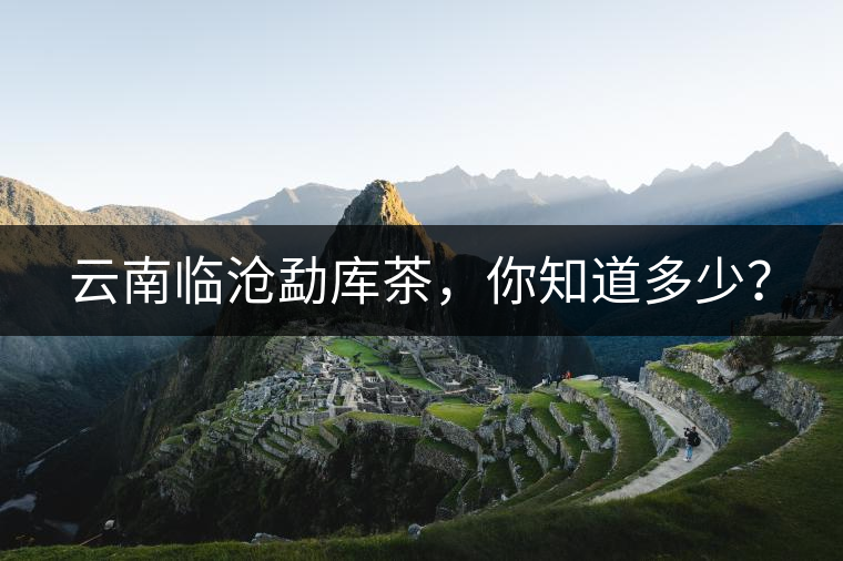 云南臨滄勐庫茶，你知道多少？