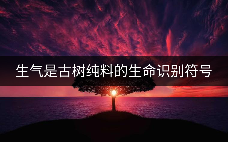 生氣是古樹純料的生命識(shí)別符號(hào) 生氣是古樹純料的生命識(shí)別符號(hào)