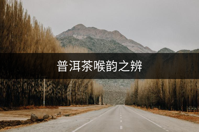 普洱茶喉韻之辨