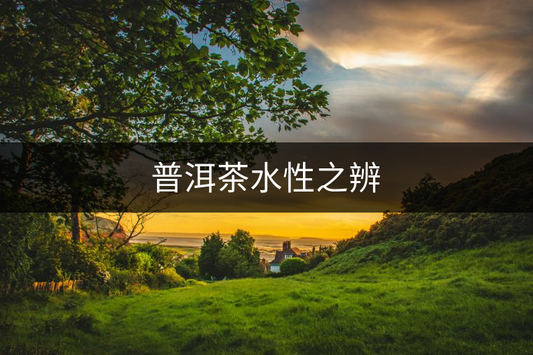 普洱茶水性之辨 普洱茶水性之辨