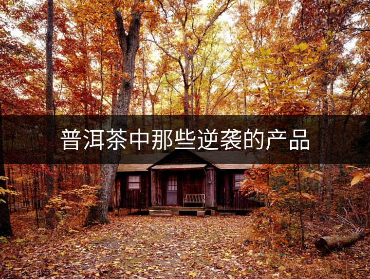 普洱茶中那些逆襲的產(chǎn)品 普洱茶中那些逆襲的產(chǎn)品