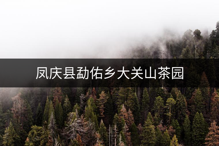 鳳慶縣勐佑鄉(xiāng)大關(guān)山茶園 鳳慶縣勐佑鄉(xiāng)大關(guān)山茶園