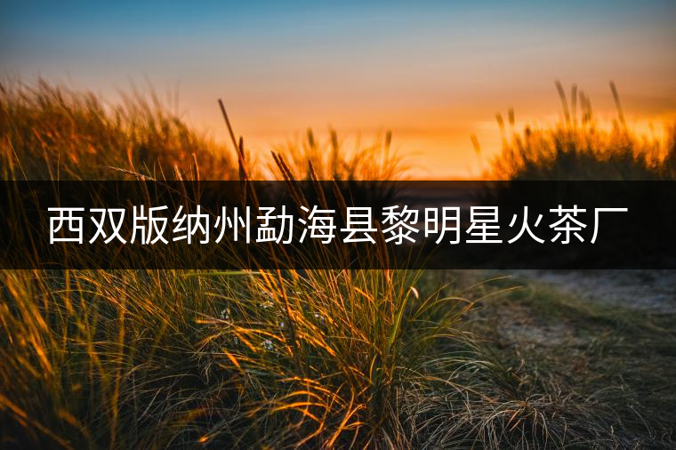 西雙版納州勐??h黎明星火茶廠 西雙版納州勐??h黎明星火茶廠