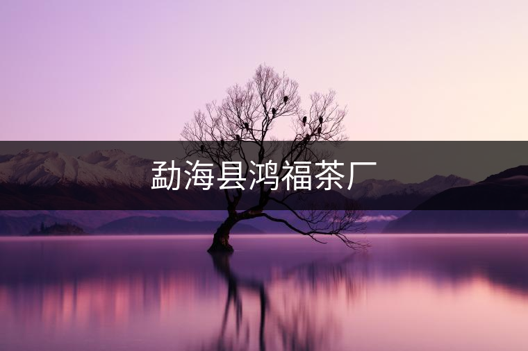 勐?？h鴻福茶廠