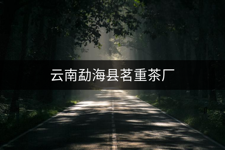 云南勐?？h茗重茶廠