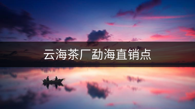 云海茶廠勐海直銷點 云海茶廠勐海直銷點