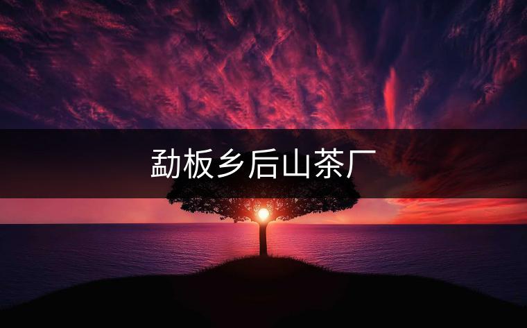 勐板鄉(xiāng)后山茶廠