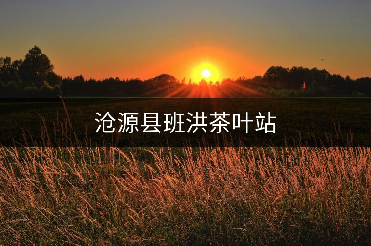 滄源縣班洪茶葉站 滄源縣班洪茶葉站