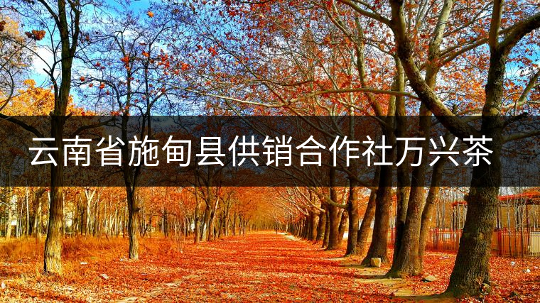 云南省施甸縣供銷合作社萬興茶廠 云南省施甸縣供銷合作社萬興茶廠