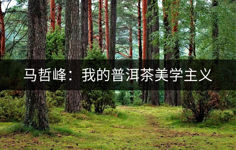 馬哲峰:我的普洱茶美學(xué)主義 馬哲峰:我的普洱茶美學(xué)主義