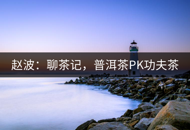 趙波：聊茶記，普洱茶PK功夫茶