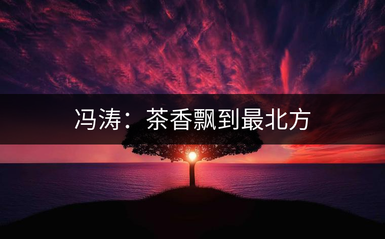 馮濤:茶香飄到最北方 馮濤:茶香飄到最北方
