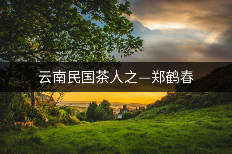 云南民國茶人之—鄭鶴春