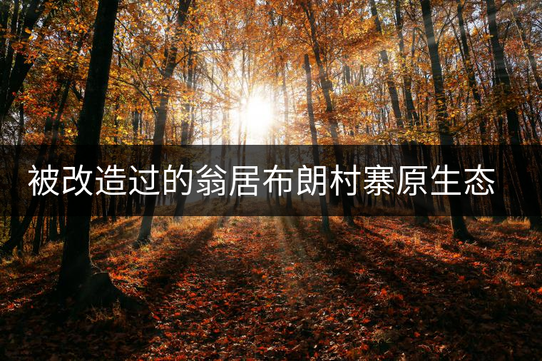 被改造過的翁居布朗村寨原生態(tài)組圖 被改造過的翁居布朗村寨原生態(tài)組圖