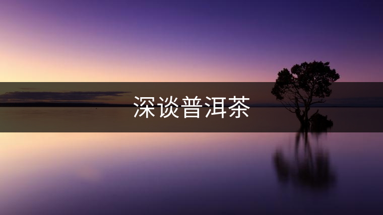 深談普洱茶 深談普洱茶