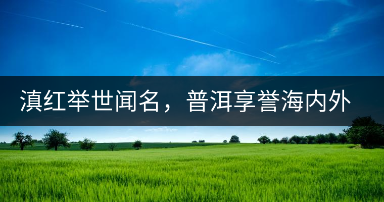 滇紅舉世聞名，普洱享譽(yù)海內(nèi)外丨專家座談——虞富蓮