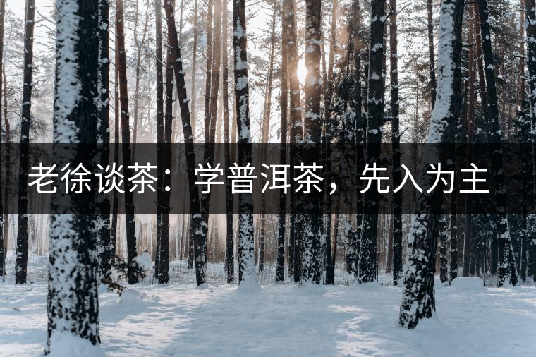 老徐談茶：學(xué)普洱茶，先入為主易被打臉，還得實踐出真知！