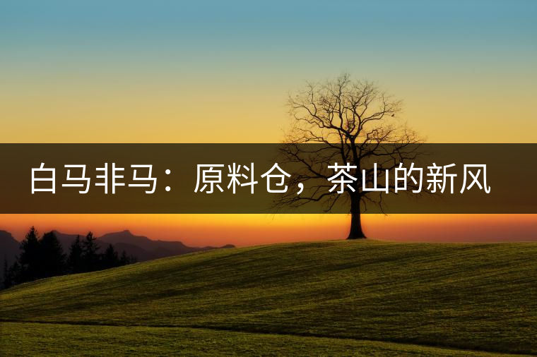 白馬非馬：原料倉，茶山的新風(fēng)景