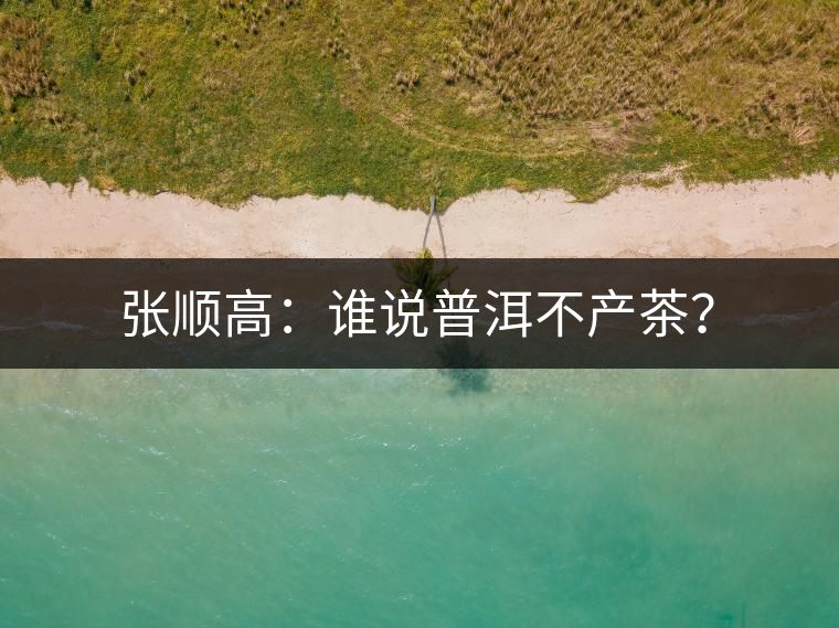 張順高：誰說普洱不產(chǎn)茶？