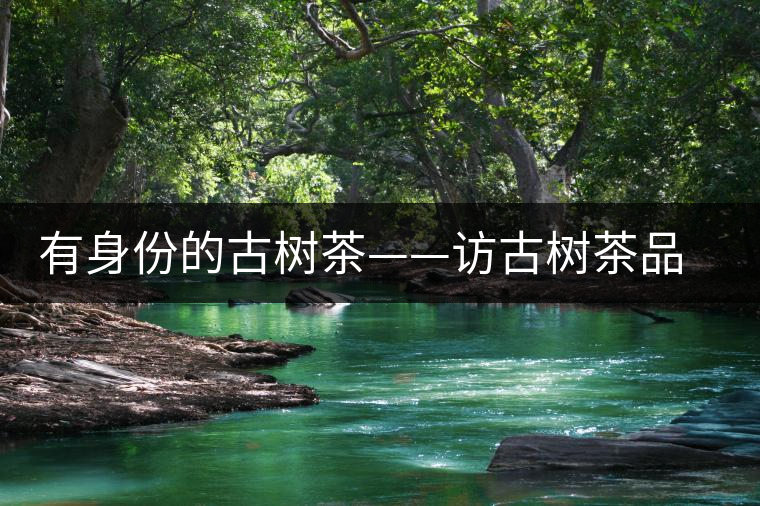 有身份的古樹(shù)茶——訪古樹(shù)茶品茶人中山市茂名商會(huì)創(chuàng)會(huì)會(huì)長(zhǎng)崔大洪 有身份的古樹(shù)茶——訪古樹(shù)茶品茶人中山市茂名商會(huì)創(chuàng)會(huì)會(huì)長(zhǎng)崔大洪