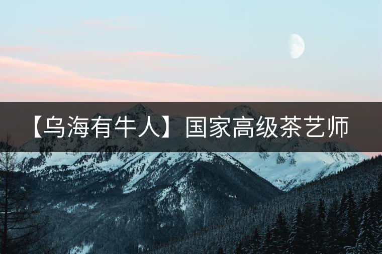 【烏海有牛人】國家高級茶藝師談古樹普洱茶