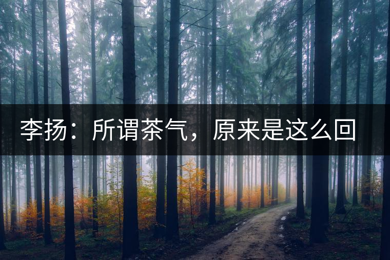 李揚(yáng)：所謂茶氣，原來(lái)是這么回事