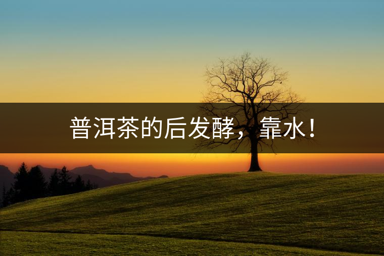 普洱茶的后發(fā)酵，靠水！