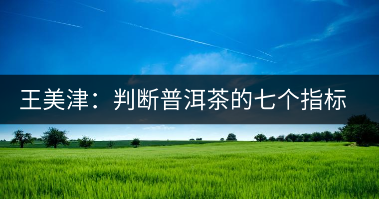王美津:判斷普洱茶的七個指標(biāo) 之形 王美津:判斷普洱茶的七個指標(biāo) 之形