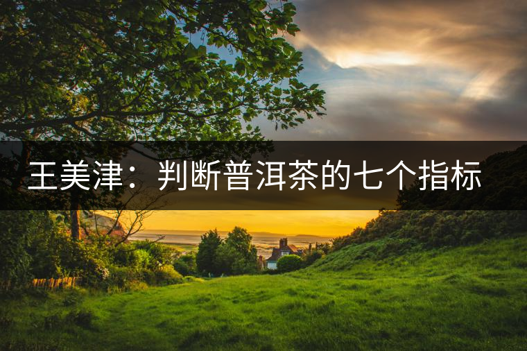 王美津：判斷普洱茶的七個(gè)指標(biāo) 之色、香、味