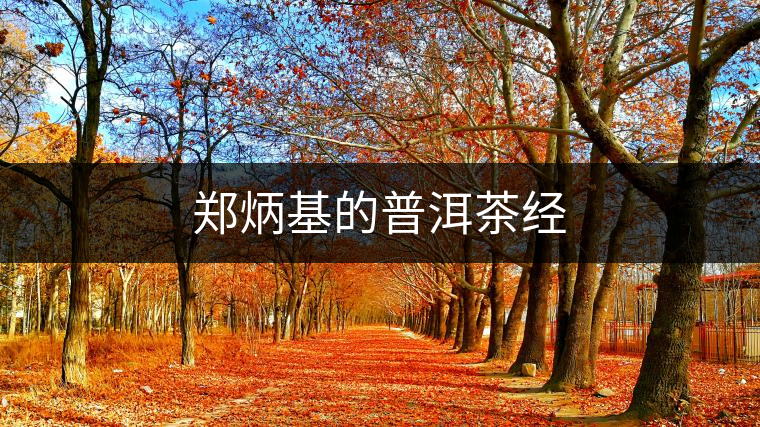 鄭炳基的普洱茶經(jīng) 鄭炳基的普洱茶經(jīng)