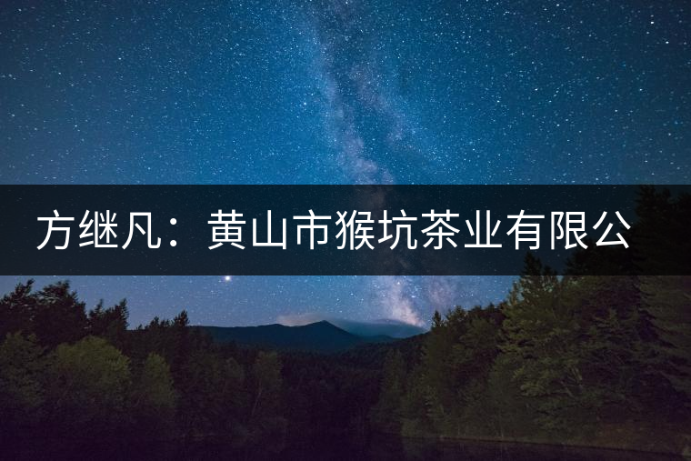 方繼凡:黃山市猴坑茶業(yè)有限公司董事長 方繼凡:黃山市猴坑茶業(yè)有限公司董事長