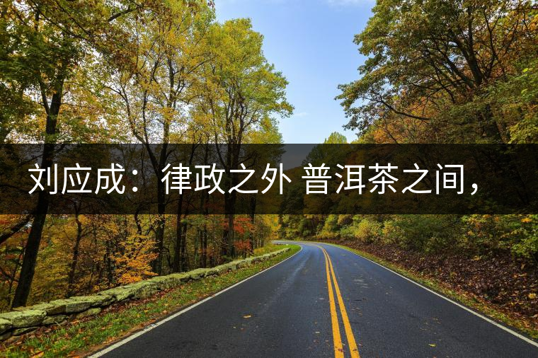 劉應(yīng)成：律政之外 普洱茶之間，在峨毛茶上的三個(gè)首創(chuàng)