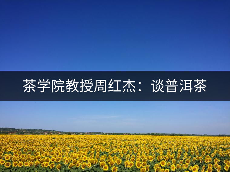 茶學(xué)院教授周紅杰：談普洱茶