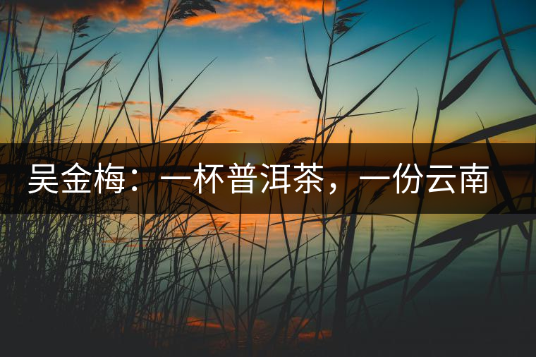 吳金梅：一杯普洱茶，一份云南情