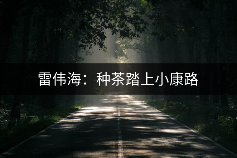 雷偉海：種茶踏上小康路