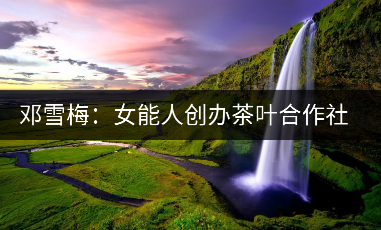 鄧雪梅:女能人創(chuàng)辦茶葉合作社帶動(dòng)茶農(nóng)共同富裕 鄧雪梅:女能人創(chuàng)辦茶葉合作社帶動(dòng)茶農(nóng)共同富裕