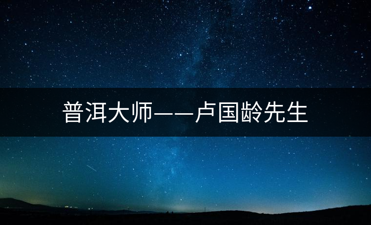 普洱大師——盧國齡先生