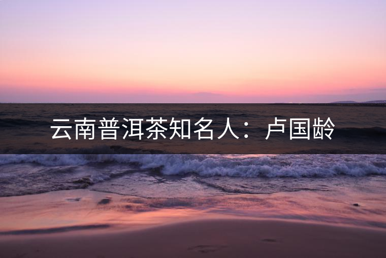 云南普洱茶知名人：盧國(guó)齡